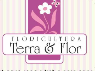 Floricultura Terra e Flor