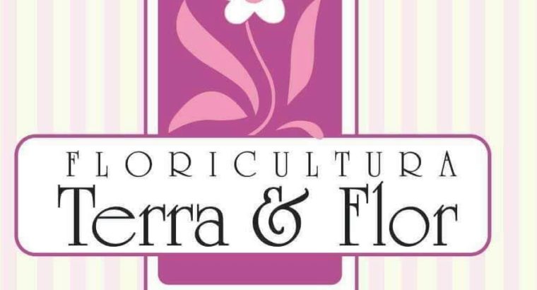 Floricultura Terra e Flor